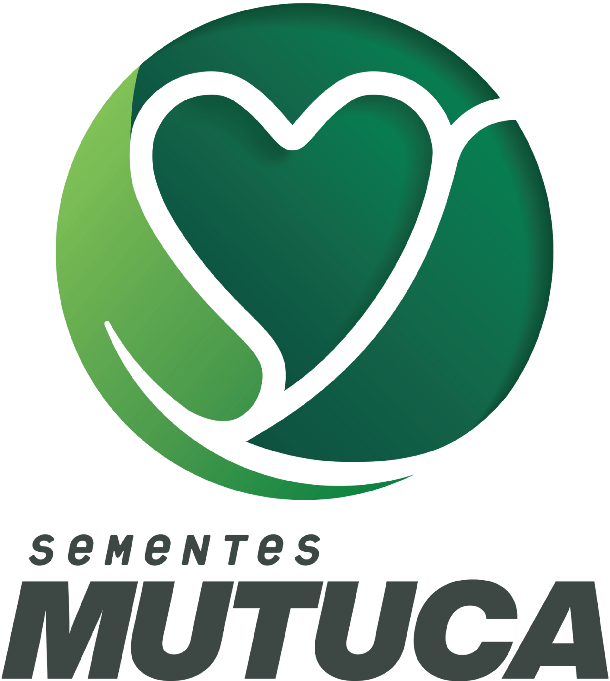 Mutuca